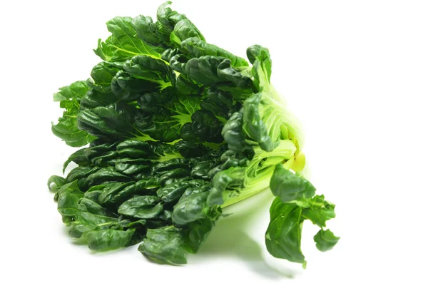 Chinese flat cabbage (Brassica chinensis) or Tah Tsai lettuce — Stock Photo, Image