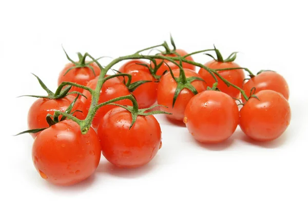 Rote Kirschtomate — Stockfoto