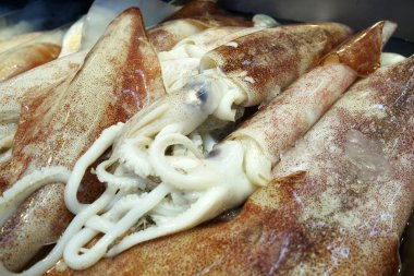 Tezgahta buz üzerinde kalamar