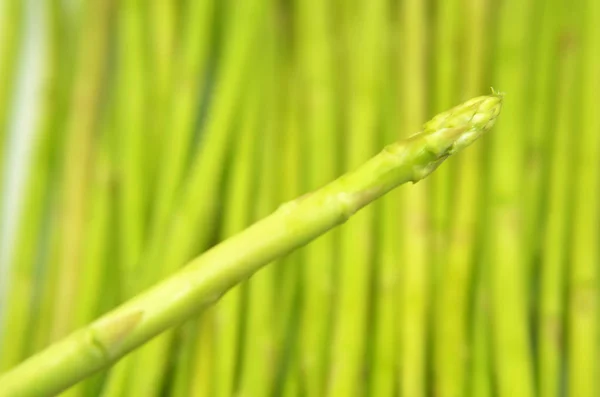 Germogli di asparagi verdi — Foto Stock