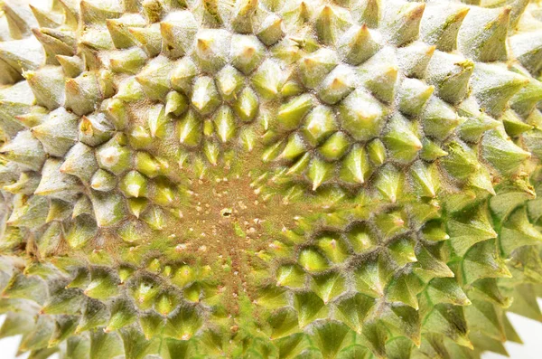 Durian fruit isolated on white background — Stock Photo, Image