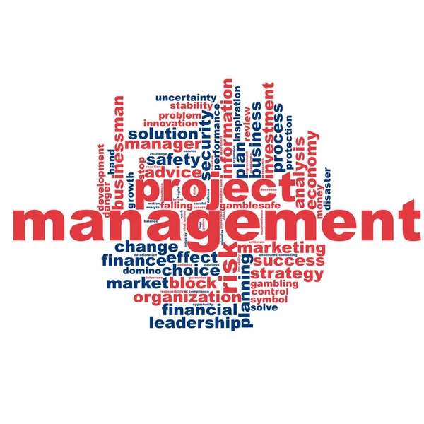 Project management word cloud — Stock Photo, Image