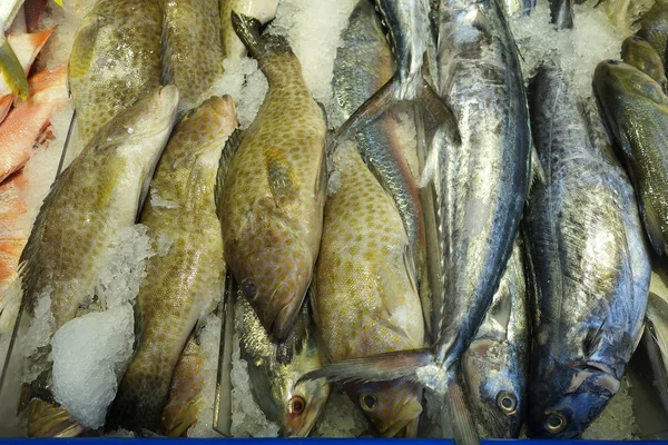 Variété de poisson frais cru — Photo
