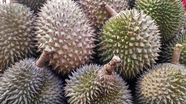 Buah tropis durian segar untuk dijual — Stok Foto