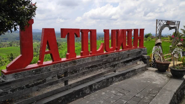 Signe dans les rizières de Jatiluwih dans le sud-est de Bali — Photo
