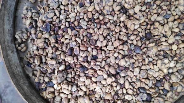 Подносы сырых кофейных зерен — стоковое фото