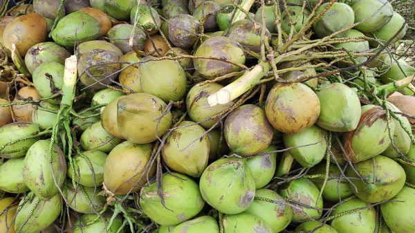 Cocos verdes están listos para vender — Foto de Stock