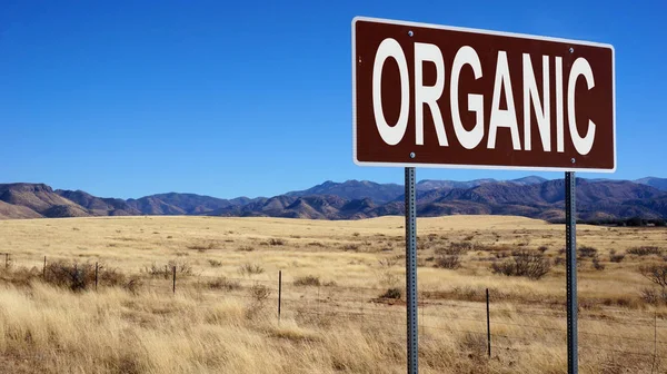 Знак органічної коричневої дороги — стокове фото