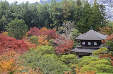 Ginkaku-ji Gümüş Köşkü 'nde güzel sonbahar renkleri