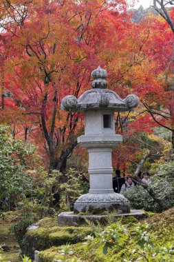Arashiyama, Kyoto, Ja 'daki Tenryuji tapınağında güzel bir zen bahçesi.