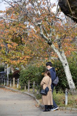 Kyoto 'da sonbahar izniyle Filozof Yolu