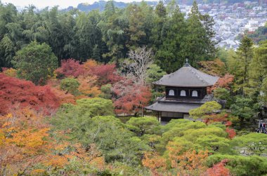 Ginkaku-ji Gümüş Köşkü 'nde güzel sonbahar renkleri