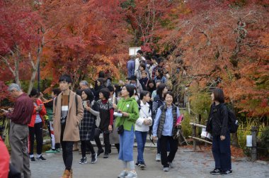 İnsanlar Japonya 'nın Kyoto kentindeki Eikando Zenrinji bahçelerini ziyaret ediyorlar.