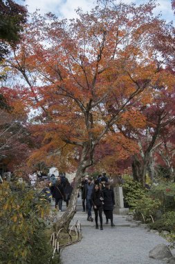 Ziyaretçiler, Kyoto 'nun Arashiyama kentindeki Tenryuji bahçelerinde sonbaharın keyfini çıkarıyorlar