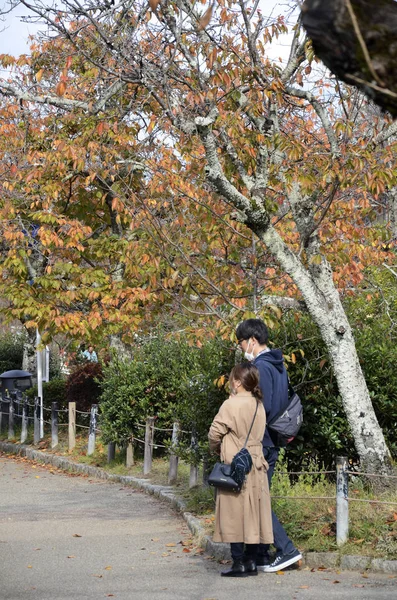 Filosofische Weg met herfstverlof in Kyoto — Stockfoto