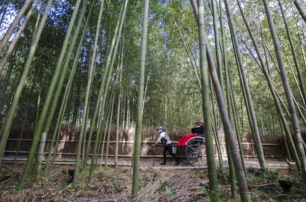 A caddesindeki bambu orman yolunda turist sürerken çekmişler. — Stok fotoğraf