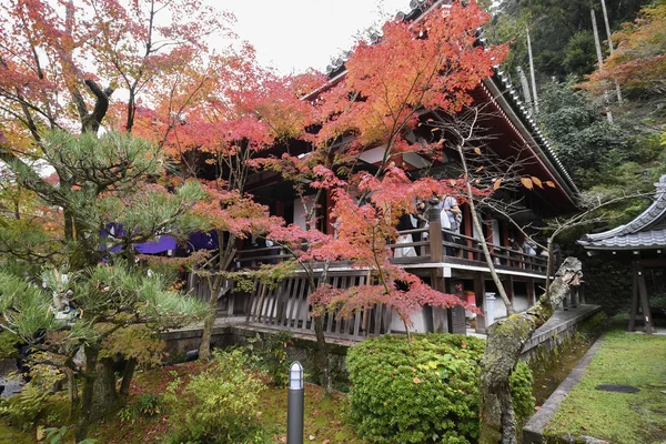 京都の永観堂禅林寺庭園の紅葉, — ストック写真