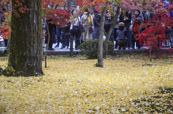 Az emberek meglátogatják az Eikando Zenrinji kertet Kiotóban, Japánban — Stock Fotó