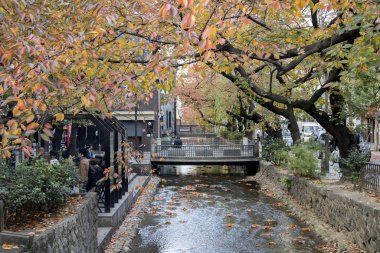 Japonya, Kyoto 'da sonbahar tatili ile Takase Nehri' nin güzel manzarası