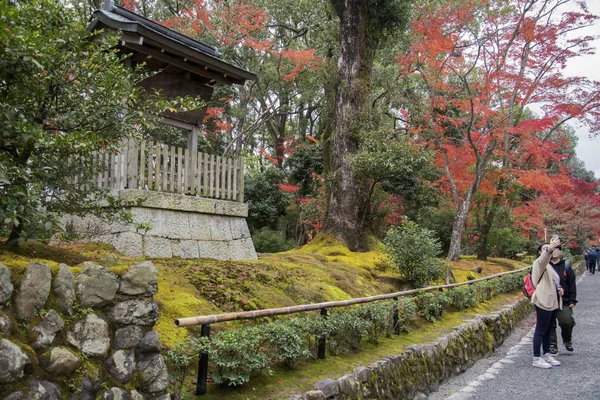 Touriste profiter de l'arbre de jardin d'automne à Golden Pavilion Kinkakuj — Photo