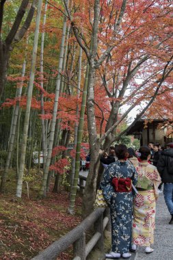 Ziyaretçiler, Kyoto 'nun Arashiyama kentindeki Tenryuji bahçelerinde sonbaharın keyfini çıkarıyorlar