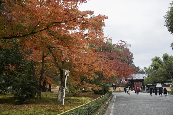 观光客请欣赏金楼金楼的秋天园林树 — 图库照片