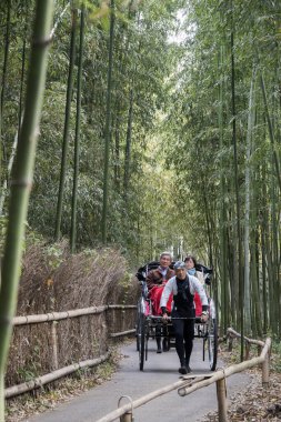 A caddesindeki bambu orman yolunda turist sürerken çekmişler.
