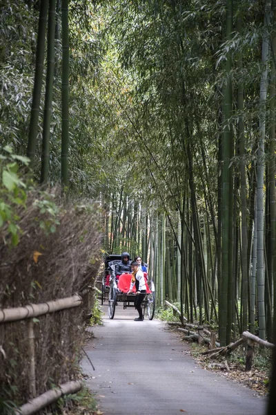 Tiró de Rickshaw montar turistas a través de un camino de bosque de bambú en A —  Fotos de Stock