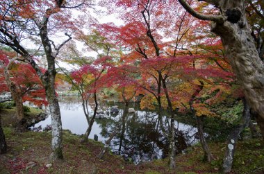 Kyoto 'daki Kodai tapınağındaki Zen bahçesi.