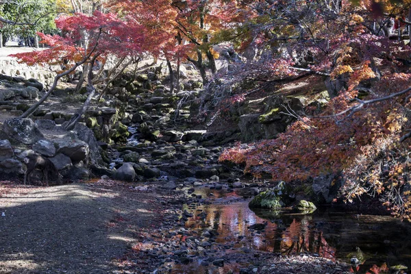 Río Yoshikigawa en el parque Nara — Foto de Stock