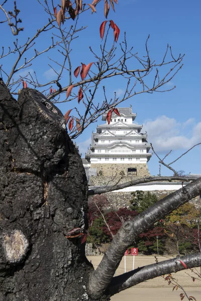 Jesienne liście w zamku Himeji jesienią w Himeji — Zdjęcie stockowe