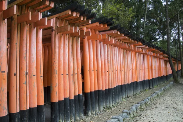 Červený torii ve svatyni Fushimi Inari-taisha v Kjótu — Stock fotografie