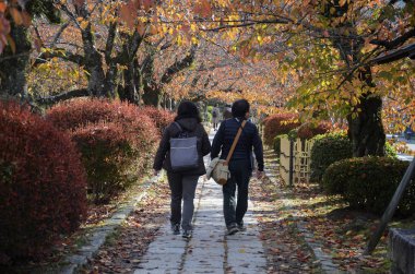 Kyoto 'da sonbahar izniyle Filozof Yolu