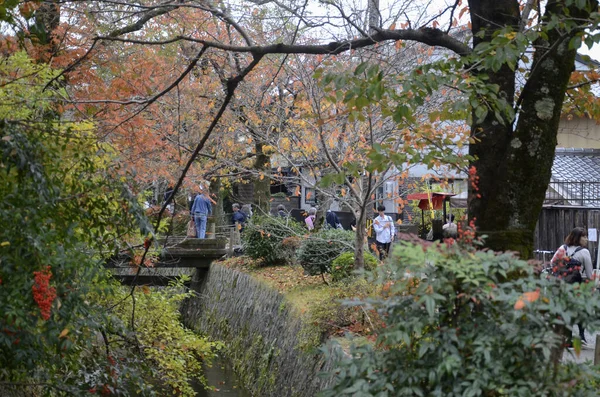 Hojas coloridas de otoño en Philosopher Path en Kyoto, Japón . — Foto de Stock
