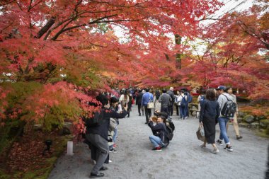 İnsanlar Japonya 'nın Kyoto kentindeki Eikando Zenrinji bahçelerini ziyaret ediyorlar.