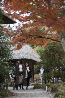 İnsanlar Kyoto Japonya 'daki Kodaiji tapınak bahçelerini ziyaret ediyor