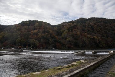 Katsuragawa nehri A 'daki renkli orman dağ geçmişine sahip.