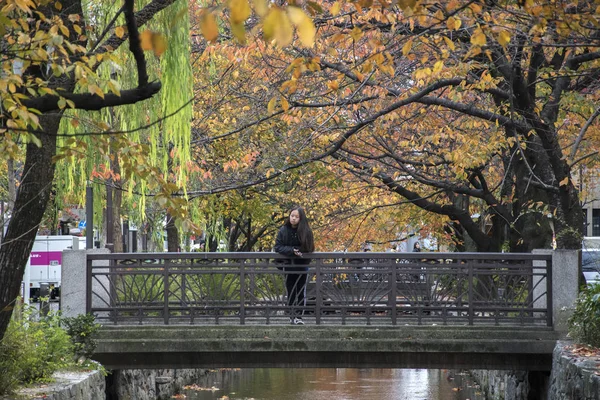 Schöne Aussicht auf Takase-Fluss mit Herbstlaub in Kyoto, Japan — Stockfoto