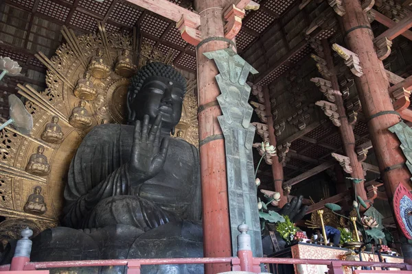 Daibutsu - il grande Buddha, situato nella grande sala del Buddha a — Foto Stock