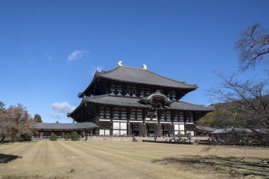 İnsanlar Japonya, Nara 'daki Todaiji Tapınağını ziyaret ediyor.