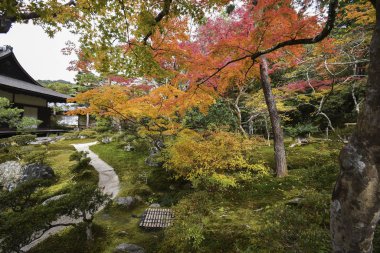 Ginkaku-ji Gümüş Köşkü 'nde güzel sonbahar renkleri