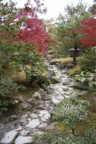 Árvore de jardim de outono no Pavilhão Dourado Templo Kinkakuji em Kyoto — Fotografia de Stock