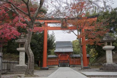 Arashiyama, Kyoto, Ja 'daki Tenryuji tapınağında güzel bir zen bahçesi.