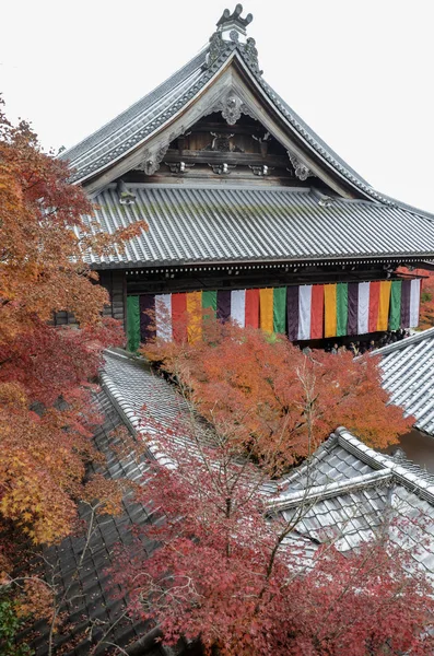 京都Eikando Zenrinji花园五彩缤纷的落叶, — 图库照片