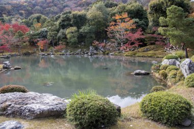 Arashiyama, Kyoto, Ja 'daki Tenryuji tapınağında güzel bir zen bahçesi.