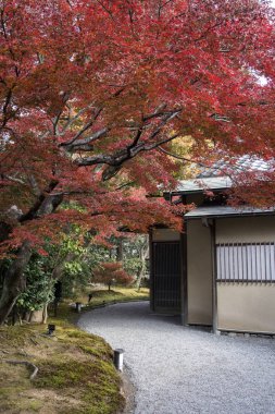 Kyoto 'daki Kodai tapınağındaki Zen bahçesi.