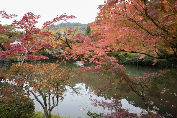 Kleurrijke herfstkleur bladeren in Eikando Zenrinji tuinen in Kyoto, — Stockfoto