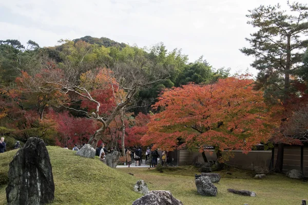 La gente disfruta de la hermosa vista del río Takase con hoja de otoño —  Fotos de Stock