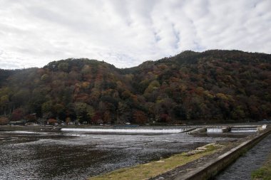 Katsuragawa nehri A 'daki renkli orman dağ geçmişine sahip.