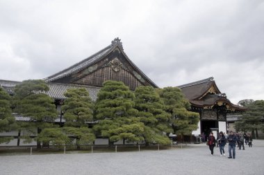 Kyoto 'daki Nijo Kalesi' nin içindeki güzel Japon bahçesi.